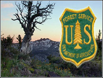 USDA Forest Service Performance Management